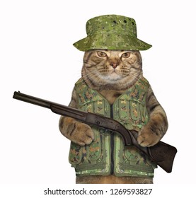 Cat Ranger Military Uniform Holding Gun Stock Photo 1269593827 ...