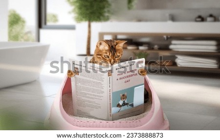 The cat is reading a book while sitting on the cat litter. Training a cat to use the litter box.