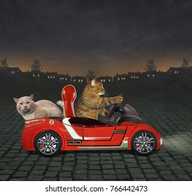 The Cat In A Red Car Carries Its Friend At Night.