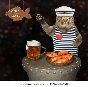 The Cat Sailor Is Drinking Beer And Eating Shrimp In The Bar.