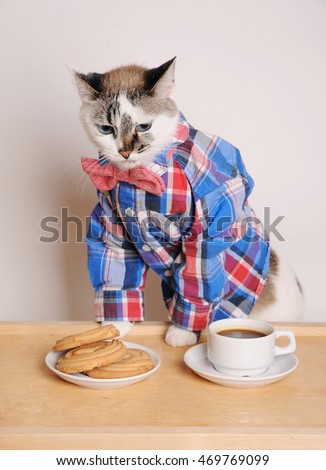 Cat in a shirt and bow tie drinking coffee with cookies