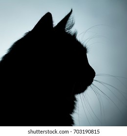 Horizontal Animal Silhouette Head Funny Fluffy Stock Photo 702314293 ...