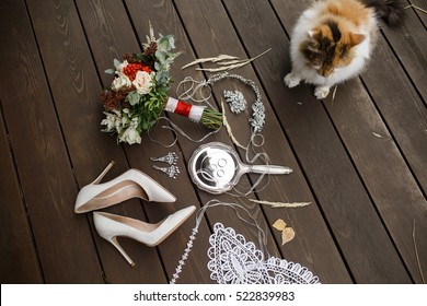 Cat Sits Before Wedding Accessories