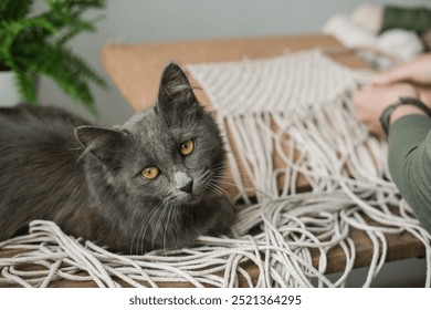 A cat sits on a table next to a woman weaving macrame