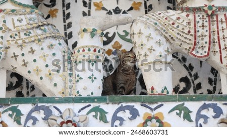 Similar – Image, Stock Photo A cat sits between wrapping paper under the Christmas tree.