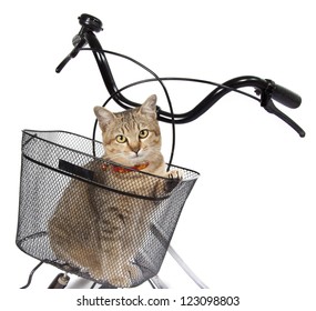 bike with cat basket