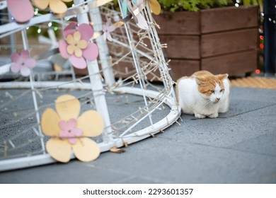 A cat sitting next to a flower sculpture