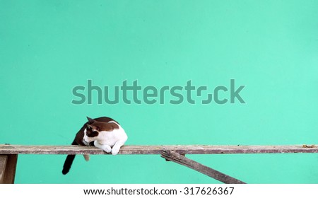 Similar – Image, Stock Photo of mice and humans.