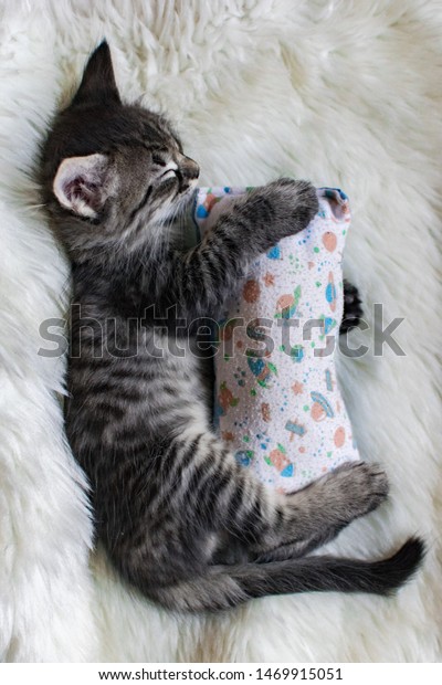 cat hugging pillow