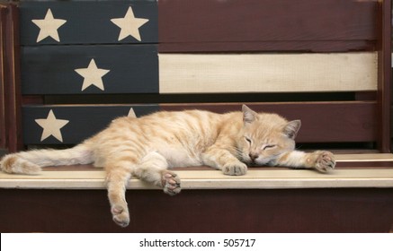 cat sleeping on patriotic bench