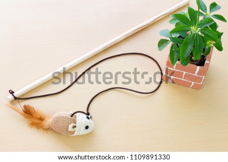 Cat slog with mouse