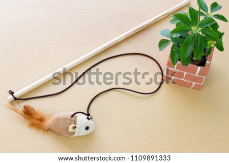 Cat slog with mouse