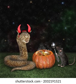 A Cat Snake In Red Devil Horns And A Rat With A Spoon Are Near A Pumpkin In The Meadow For Halloween.