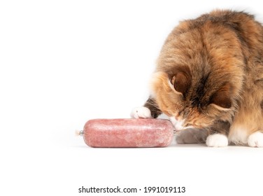 Cat sniffing raw food sausage. Cute female kitty with one paw on vaccume sealed frozen ground chicken roll. Concept for raw food diet for cats, dogs and pets. Selective focus. Isolated on white.