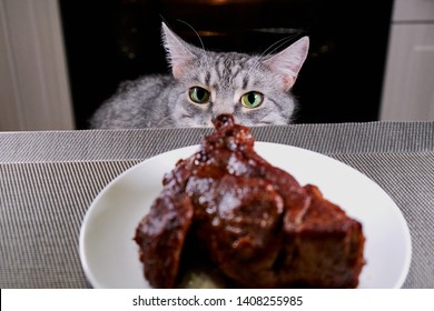 Cat Sniffs Big Piece Meat Pet Stock Photo 1408255985 | Shutterstock