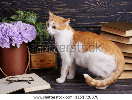 cat next pussy Hannibal erotic part