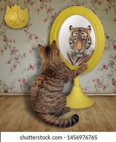 cat and lion in mirror images stock photos vectors shutterstock https www shutterstock com image photo cat stares his reflection mirror living 1456976765