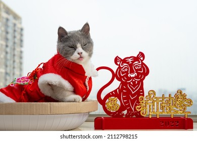 cat sticking out the tongue and winking with traditional Chinese new year dress and a tiger mascot nearby the Chinese means Happy New Year no logo no trademark