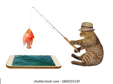 A cat in a straw hat is fishing from a phone. He caught a fish. White background. Isolated.