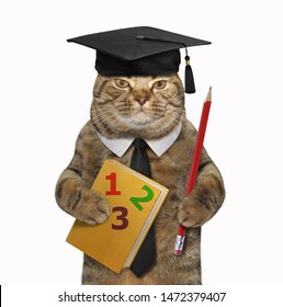 cat-teacher-square-academic-cap-260nw-1472379407.jpg