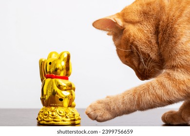 The cat throws the thing off the table close up
