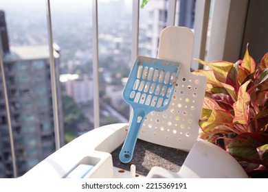 Cat Toilet With Scoop On Condo Balcony, Top View. Pet Care 