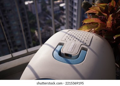 Cat Toilet With Scoop On Condo Balcony, Top View. Pet Care 