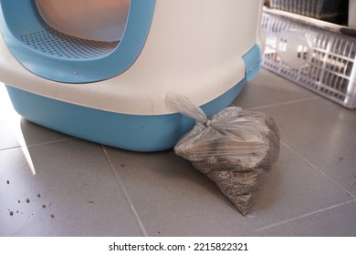 Cat Toilet With Scoop On Condo Balcony, Top View. Pet Care 