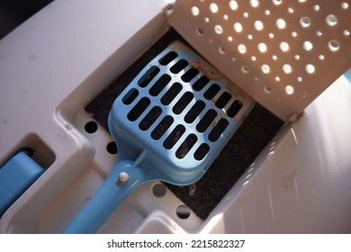 Cat Toilet With Scoop On Condo Balcony, Top View. Pet Care 