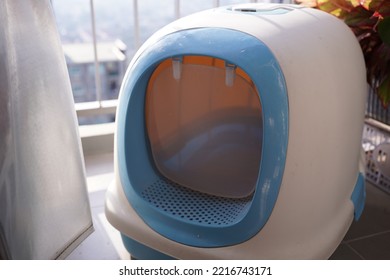 Cat Toilet With Scoop On Condo Balcony, Top View. Pet Care 