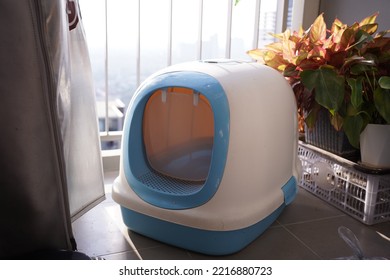 Cat Toilet With Scoop On Condo Balcony, Top View. Pet Care 