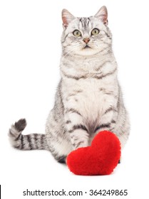 Cat With Toy Heart Isolated On A White Background.