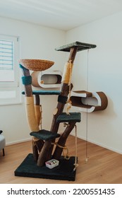 Cat Tree In A Modern House.