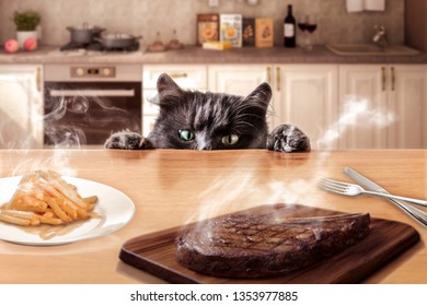 Cat is trying to steal a fresh cooked steak - Shutterstock ID 1353977885