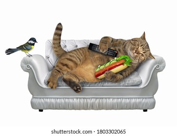 A Cat With A Tv Remote Control And Hot Dogis Lying On A Stylish Gray Leather Divan. A Bird Is Next To Him. White Background. Isolated.