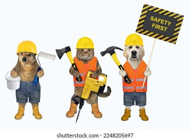 A cat and two dogs with construction tools. Safety first. White background. Isolated. - Shutterstock ID 2248205697