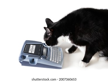 Cat Using Label Maker Or Labeling Machine. Side View Of Cat Making Labels To Organize Treats Or Pet Food. Funny Pet Themed Concept For Smart Pets Imitating Humans. Selective Focus. Isolated On White.