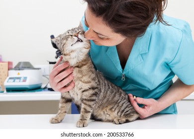 Cat Vaccination