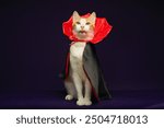 Cat in vampire costume for Halloween celebration. Purple background with copy space.