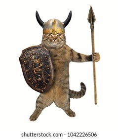 1,179 Cat In Armor Images, Stock Photos & Vectors | Shutterstock