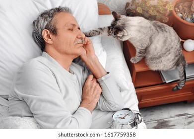 Cat Waking Up Its  Owner Senior Man Sleeping In Bed