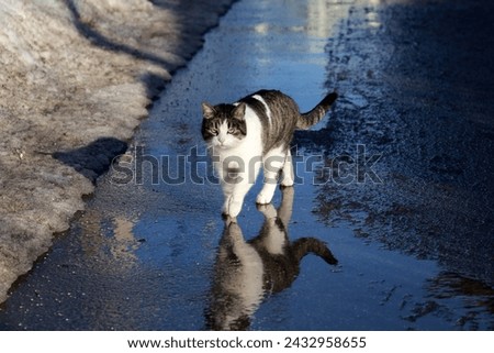 Similar – Image, Stock Photo melted snow Water