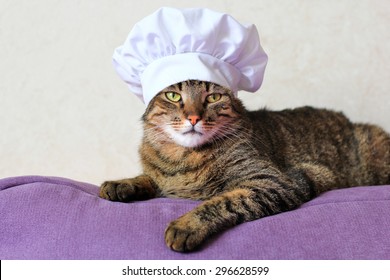 Cat Wearing A Chef Hat 