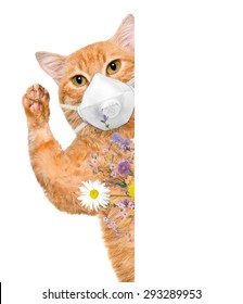 Cat Wearing A Face Protective Mask. 