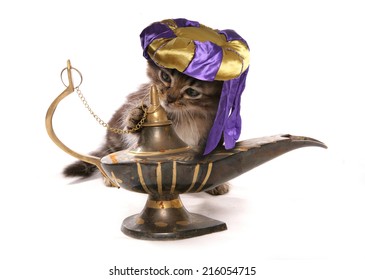 Cat Wearing Genie Hat Rubbing A Lantern