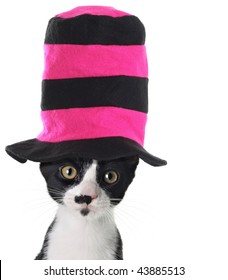 Cat Wearing A Hat