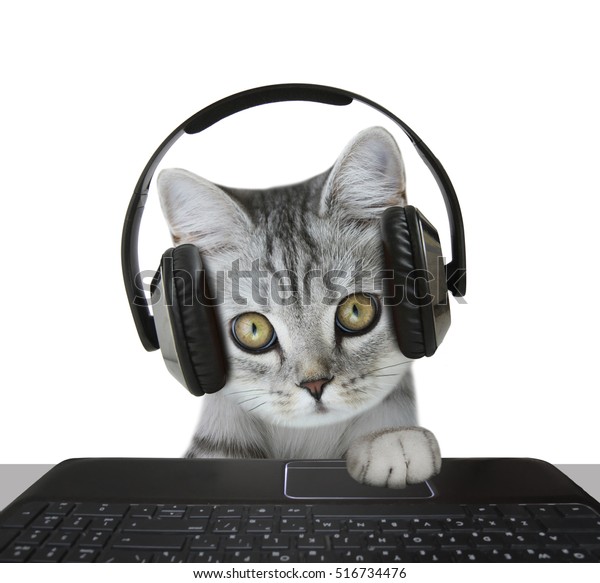 Cat Wearing Headphones Stock Photo (Edit Now) 516734476