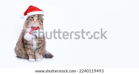Cat wearing Santa hat for Christmas.
Cute Kitten in festive red hat.
Adorable feline with Santa Claus hat.
Domestic cat in winter holiday attire.
Studio shot of charming Kitten in Christmas cap