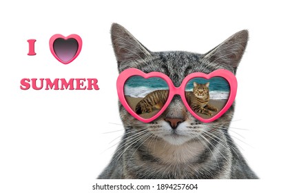 A cat wears heart shaped sunglasses with the reflection of a sea in them. I love summer. White background. Isolated.