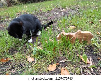 Cat With Wooden Boar In Nature